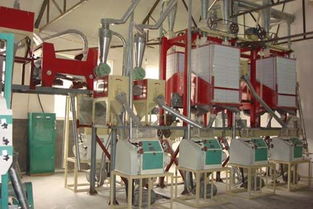 【面粉機(jī)組、面粉機(jī)成套設(shè)備專業(yè)的生產(chǎn)廠家】