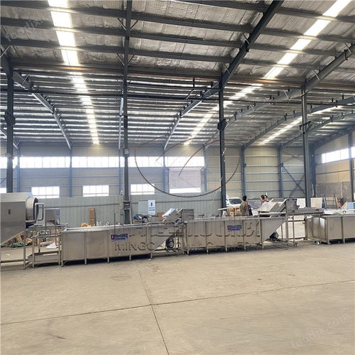 明超扇貝肉清洗漂燙流水線 水產加工設備