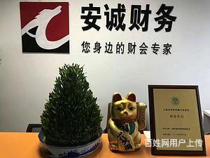 楊浦區審計驗資、注銷變更與財務咨詢，專業服務找安誠財務王會計