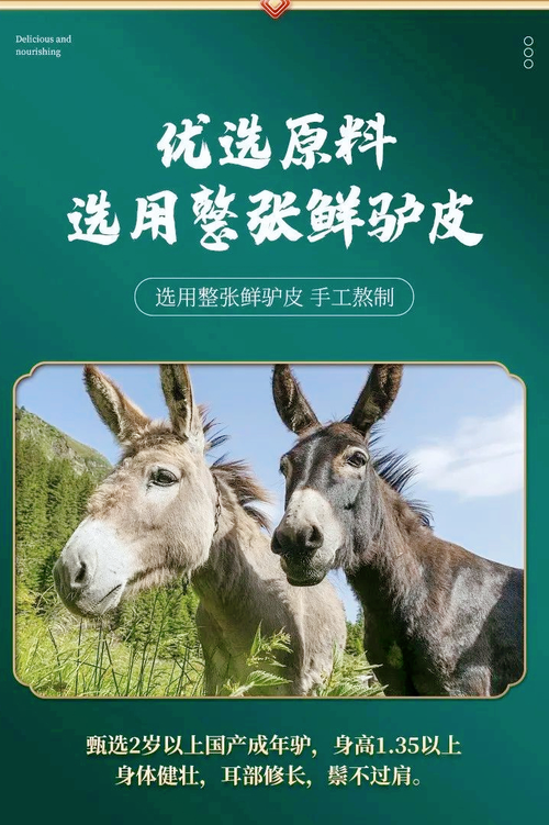 中國紅娘月老社攜手北京驢煌上生物科技，以驢派科技助力單身男女脫單